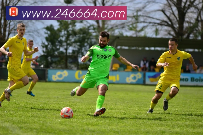 v8体育入口服务体系